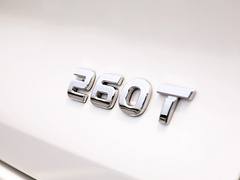 2020款 260T 自动48V轻混增压 星曜版