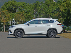 2020款 TX 1.6T 四驱星享版
