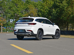 2020款 TX 1.6T 四驱星享版