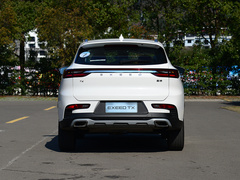 2020款 TX 1.6T 四驱星享版