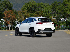 2020款 TX 1.6T 四驱星享版