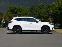 2020款 TX 1.6T 四驱星享版