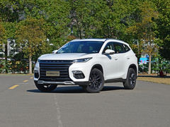 2020款 TX 1.6T 四驱星享版