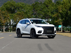 2020款 TX 1.6T 四驱星享版