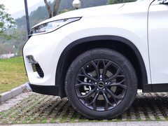 2020款 TX 1.6T 四驱星享版