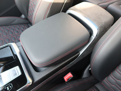 2021款 RS Q8 4.0T 尊享版