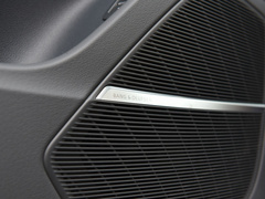 2021款 RS Q8 4.0T 尊享版