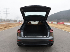 2021款 RS Q8 4.0T 尊享版