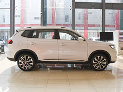 2020款 500PHEV 智能座舱旗舰版