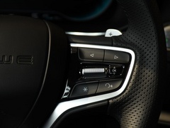 2020款 500PHEV 智能座舱旗舰版