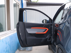 2019款 4座智享版 30.6kWh