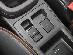 2019款 4座智炫版 30.6kWh