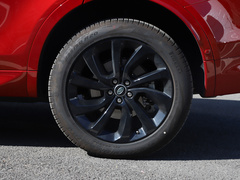 2020款 249PS R-Dynamic 豪华定制版