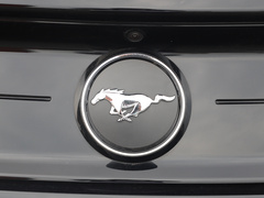 2020款 2.3L EcoBoost