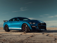 2020款 Shelby GT500 