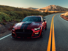 2020款 Shelby GT500 