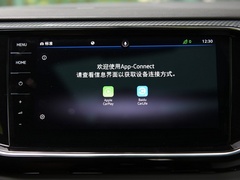 2020款 380TSI 四驱尊崇智联版