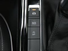 2020款 380TSI 四驱尊崇智联版