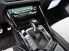 2020款 380TSI 四驱尊崇智联版