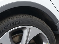 2020款 甄选续航版 550KM C++