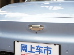 2020款 甄选续航版 550KM C++