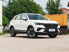 2020款 PRO 280 TID 手动豪华型