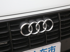 2020款 55 TFSI quattro 黑武士专享版