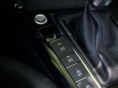 2020款 380TSI 旗舰版 国VI