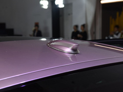2020款 3.0T 智联旗领四座版