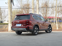 2020款 GS8S 390T 两驱尊贵版