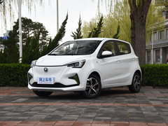 2020款 心悦版 磷酸铁锂（31.18kWh）