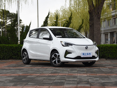 2020款 心悦版 磷酸铁锂（31.18kWh）