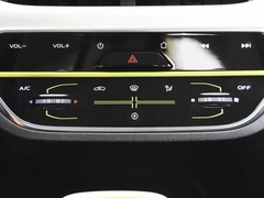2020款 心悦版 磷酸铁锂（31.18kWh）