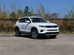 2020款 1.4T DCT悦联蓝鲸版