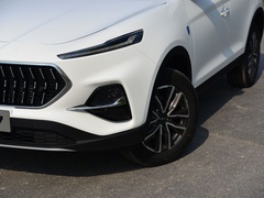 2020款 1.5TGDI 自动超越型