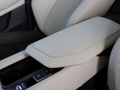 2020款 PHEV Plus