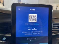 2020款 EcoBoost 285 四驱铂金版 6座