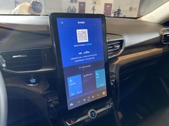 2020款 EcoBoost 285 四驱铂金版 6座