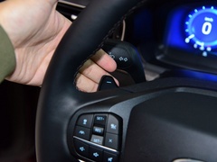 2020款 EcoBoost 285 四驱铂金版 6座