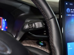 2020款 EcoBoost 285 四驱铂金版 6座