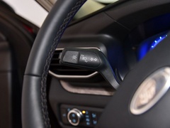 2020款 EcoBoost 285 四驱铂金版 6座