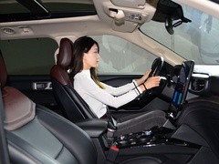 2020款 EcoBoost 285 四驱铂金版 6座