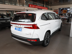 2021款 380TGDi 智爱尊贵版 LUX Premium