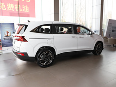 2021款 380TGDi 智爱尊贵版 LUX Premium