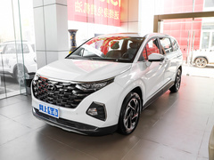 2021款 380TGDi 智爱尊贵版 LUX Premium