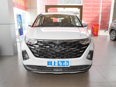 2021款 380TGDi 智爱尊贵版 LUX Premium