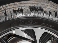 2021款 380TGDi 智爱尊贵版 LUX Premium