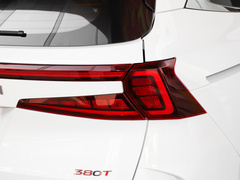 2021款 380TGDi 智爱尊贵版 LUX Premium