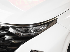 2021款 380TGDi 智爱尊贵版 LUX Premium
