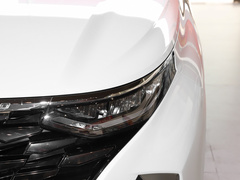2021款 380TGDi 智爱尊贵版 LUX Premium